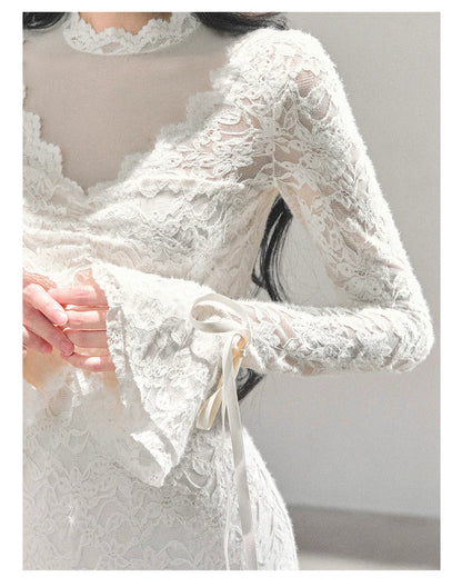 Lace Mesh Long-Sleeve Mini Dress