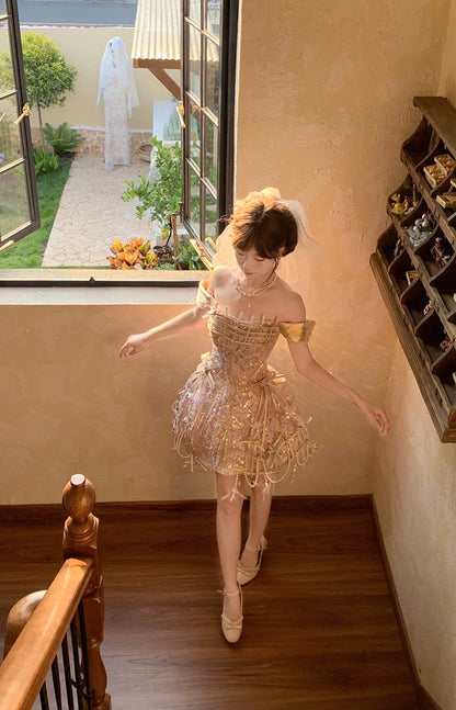 Annie Princess Embellished Tulle Dress with Lace Details