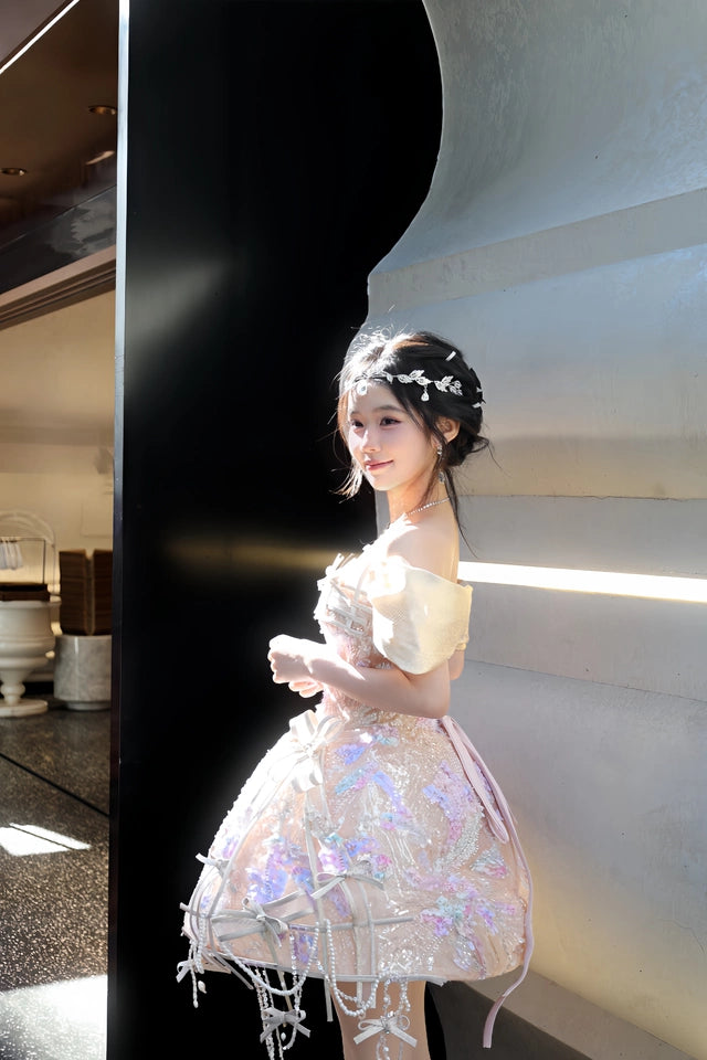 Annie Princess Embellished Tulle Dress with Lace Details