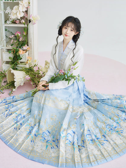 &quot;鸢尾&quot; Ming Dynasty Hanfu Set