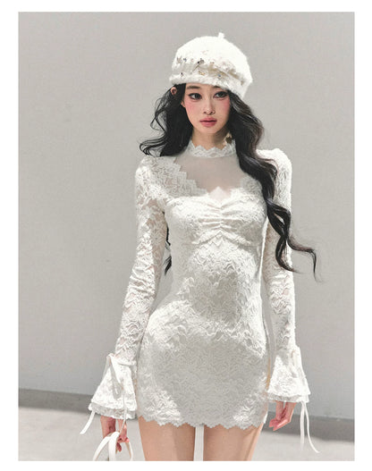 Lace Mesh Long-Sleeve Mini Dress