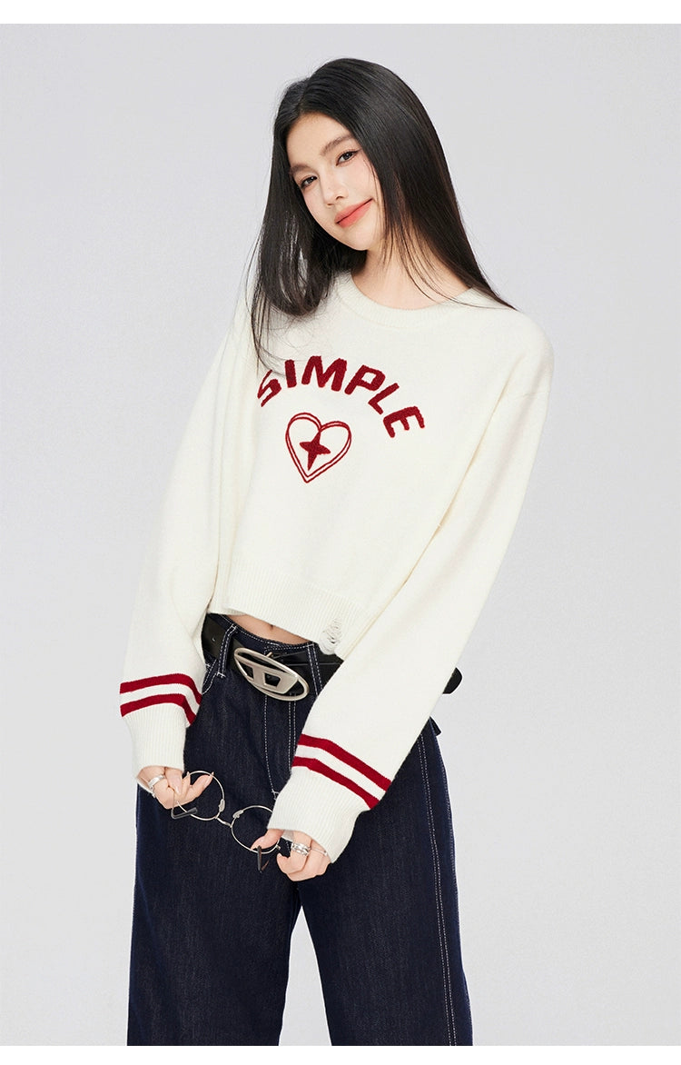 3D Embroidered Distressed Sweater