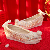 Embroidered Pointed Toe Hanfu Shoes - CHINASQUAD