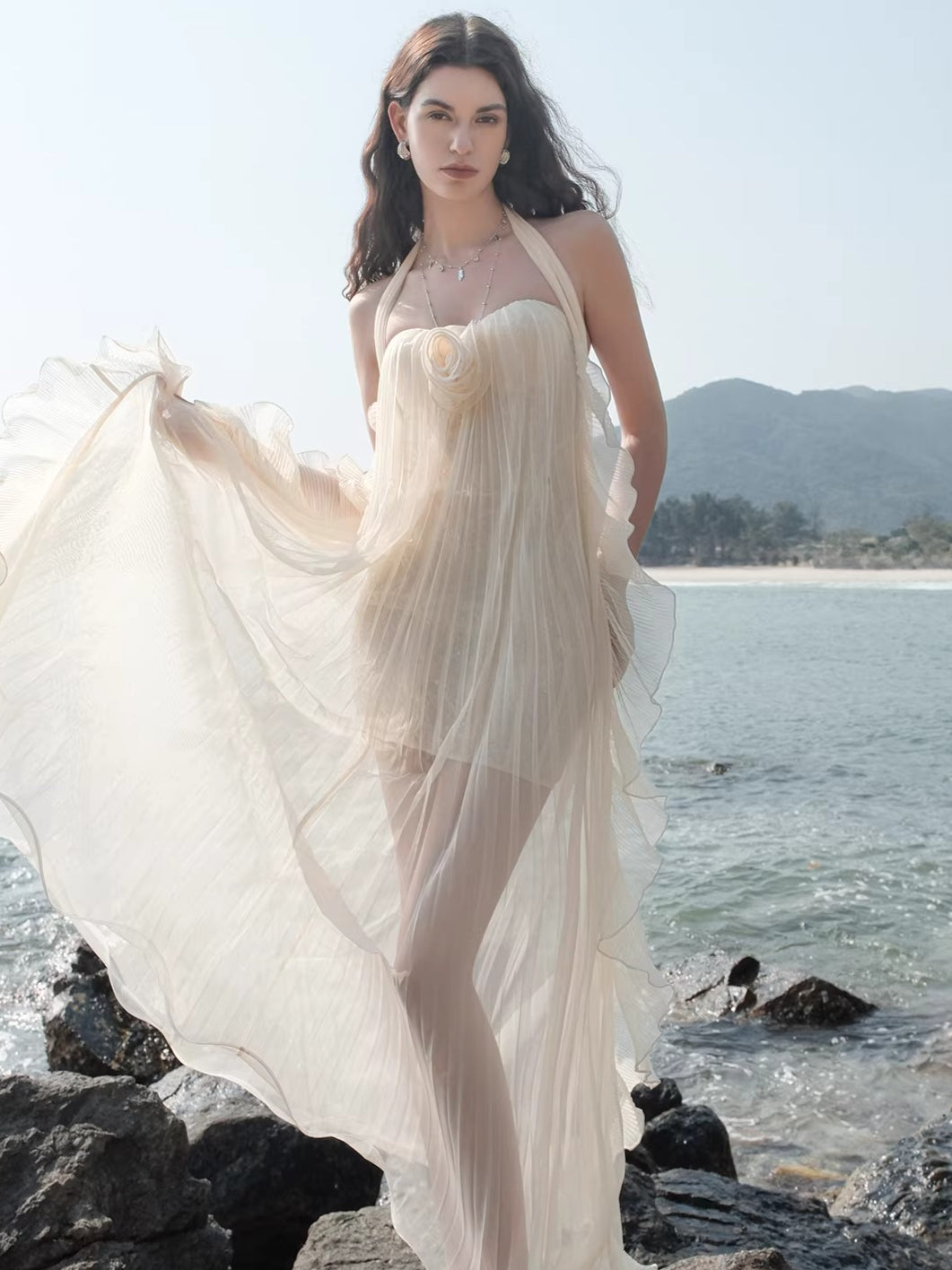 Mesh Halter Backless Strapless Maxi Dress