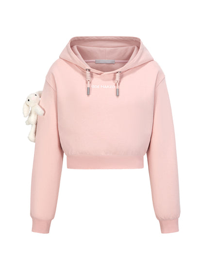 Embroidered Cropped Hoodie