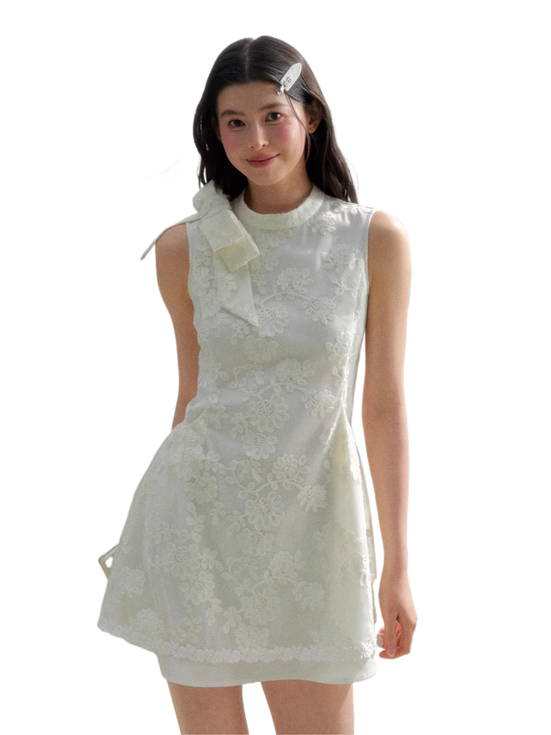 Spring Whisper Lace Embroidered Dress