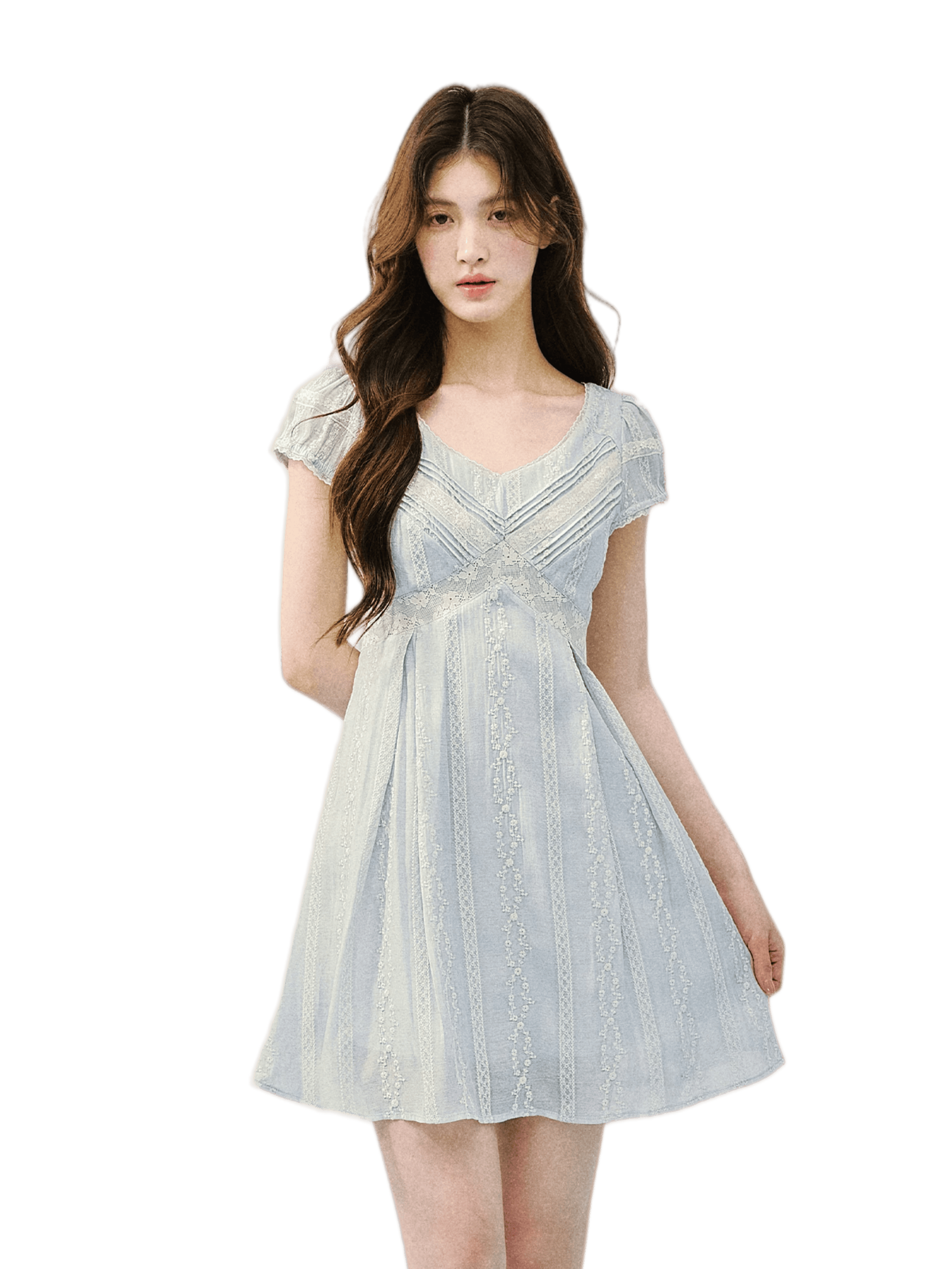 Vintage Lace Panel V-Neck Dress