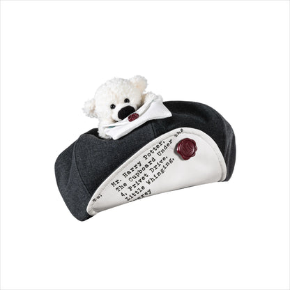 Hogwarts Acceptance Letter Hat