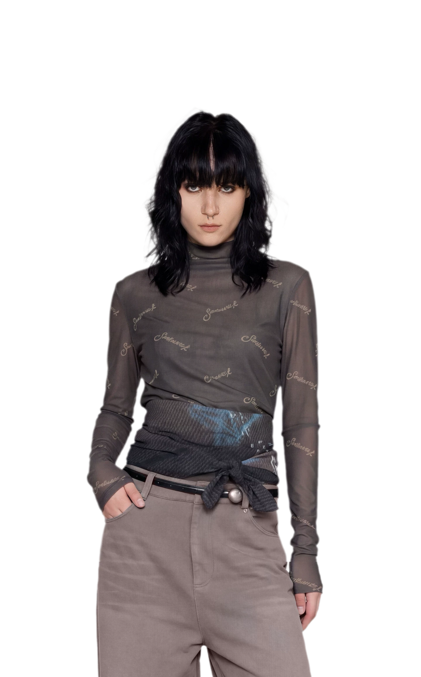 Mesh Turtleneck Top