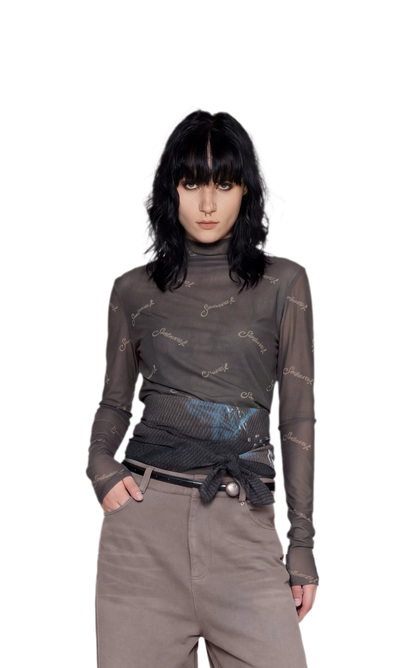 Mesh Turtleneck Top