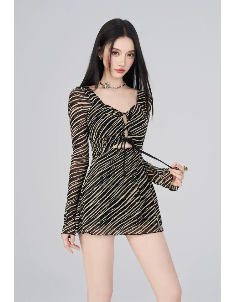 Sheer Mesh Mini Dress