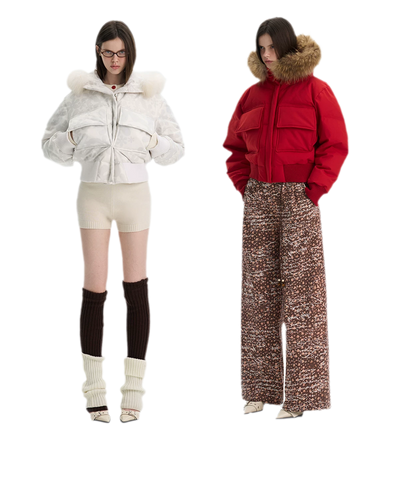 Printed Cropped Hooded Down Jacket