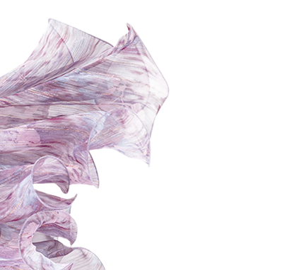 Amethyst Sheer Bustier Top