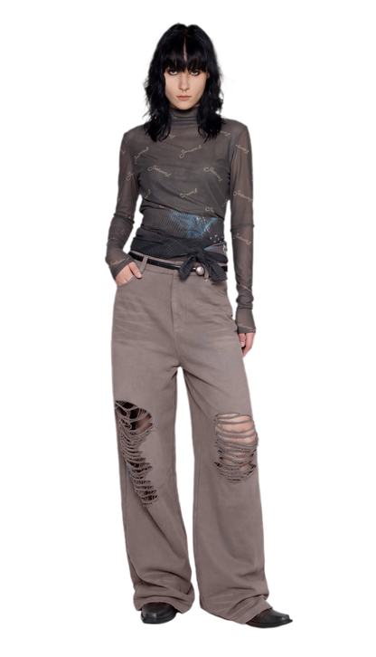 Mesh Turtleneck Top