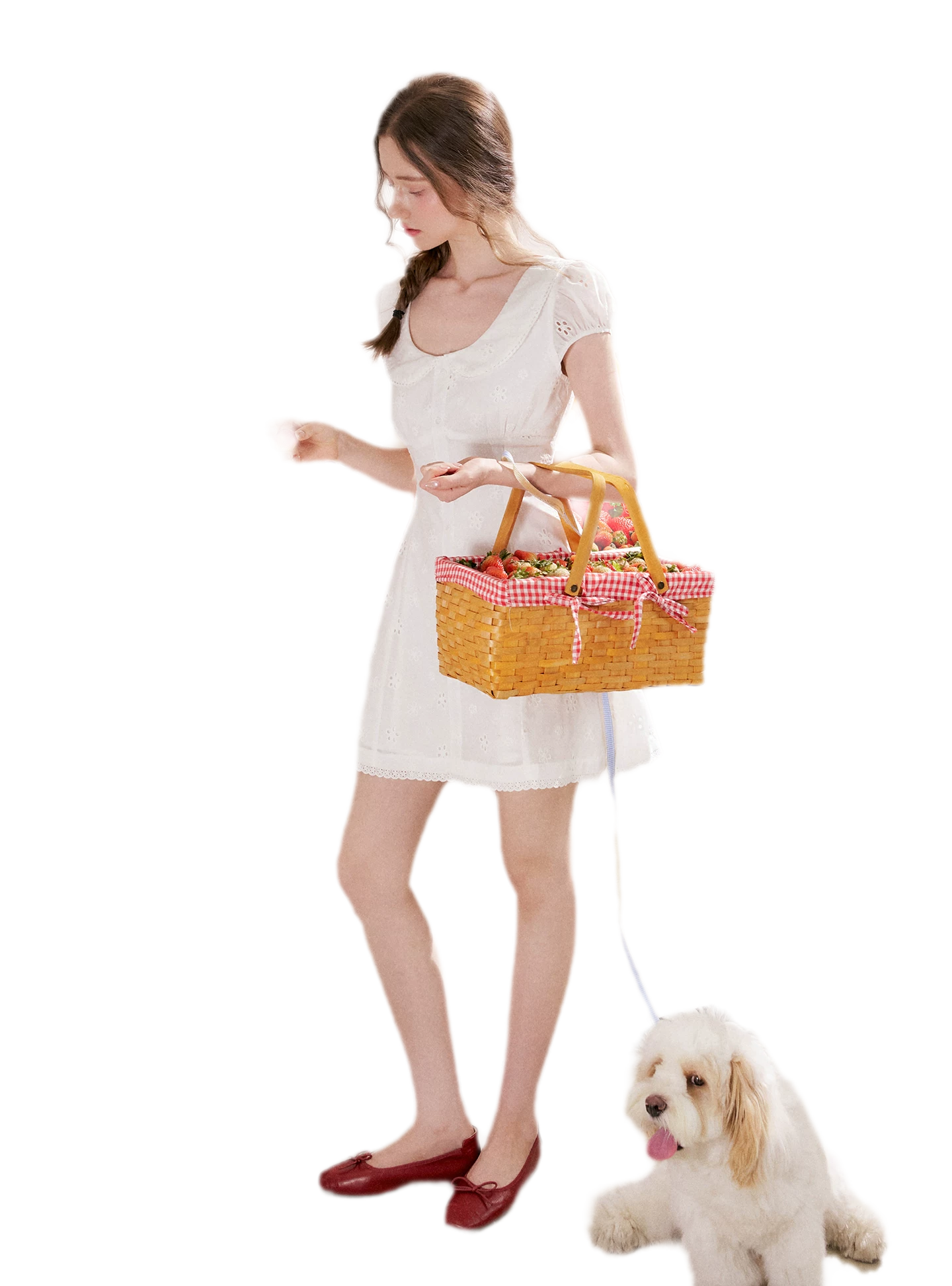 Embroidered Dress