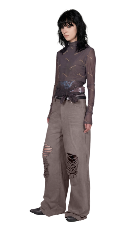 Mesh Turtleneck Top