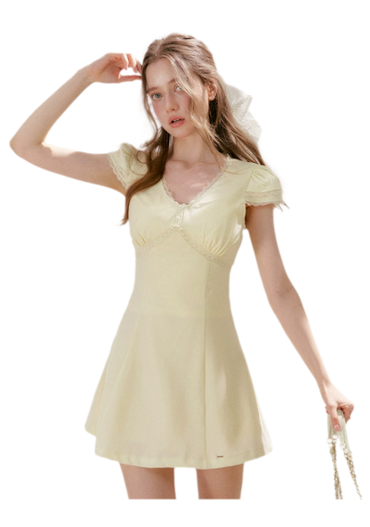 Lace V-Neck Short Sleeve A-Line Dress