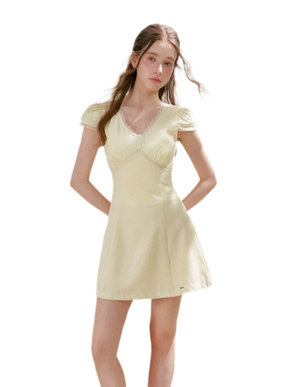 Lace V-Neck Short Sleeve A-Line Dress