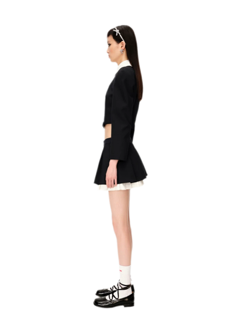 Wide Pleated A-Line Skirt