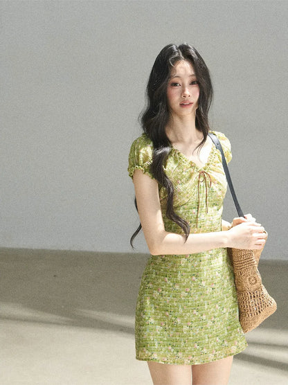 Chiffon Embroidered Mini Dress