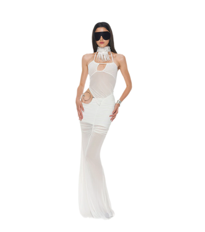 Silver Ring Mesh Dress