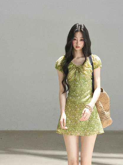 Chiffon Embroidered Mini Dress