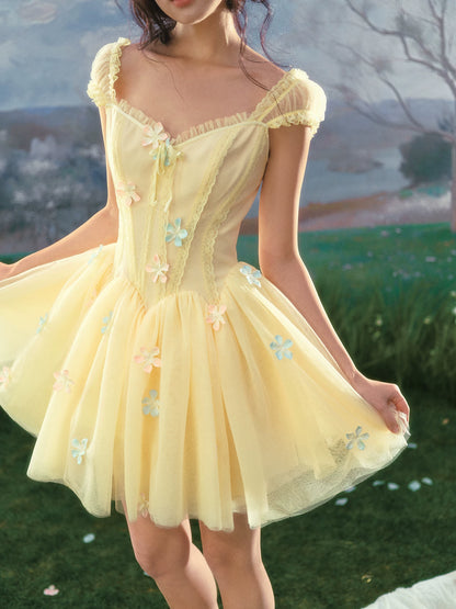 Lace Corset Flared Dress