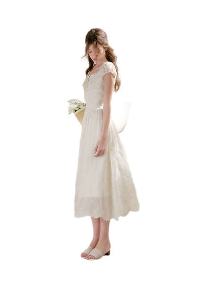 Lace Embroidered Midi Dress
