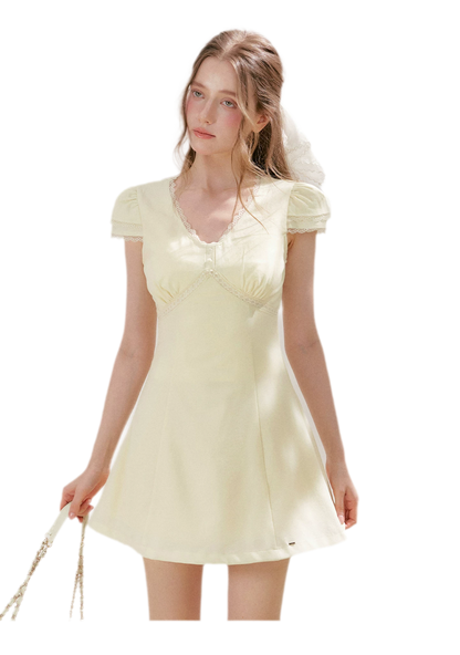 Lace V-Neck Short Sleeve A-Line Dress