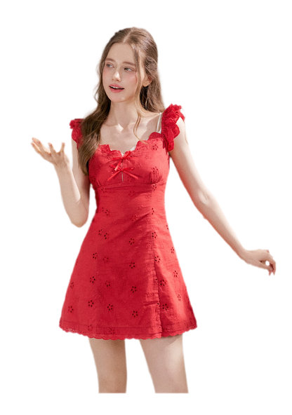 Embroidered Mini Dress