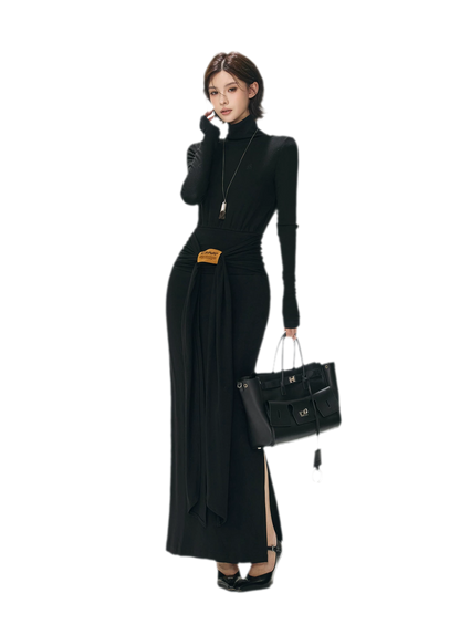 Turtleneck Ruched Waist Knit Dress