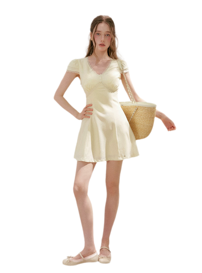 Lace V-Neck Short Sleeve A-Line Dress