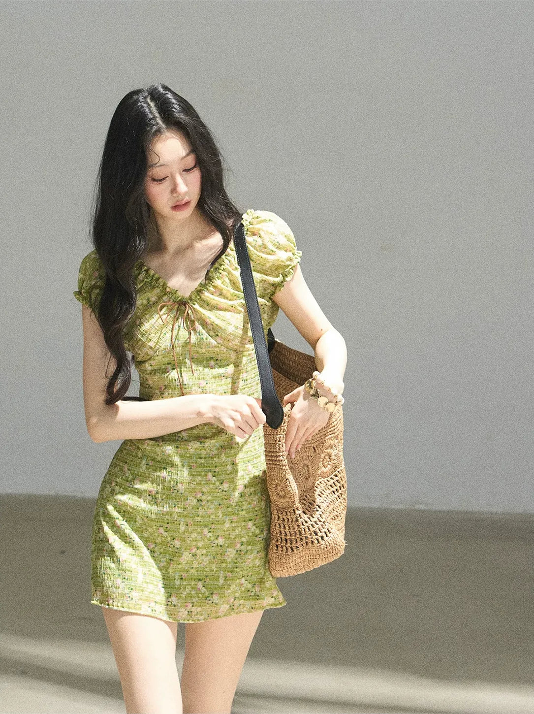 Chiffon Embroidered Mini Dress