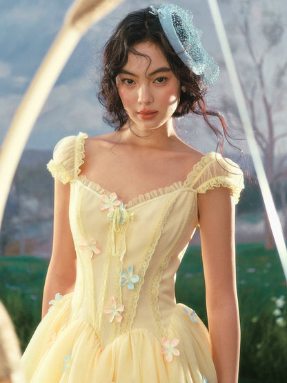 Lace Corset Flared Dress