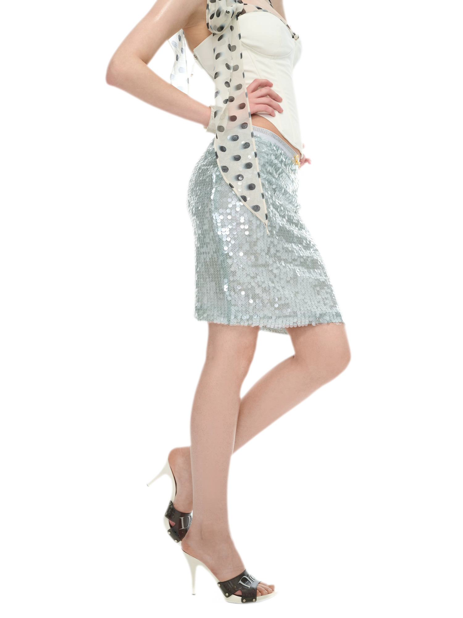 Sequin-Embellished Silver Waist Midi Skirt