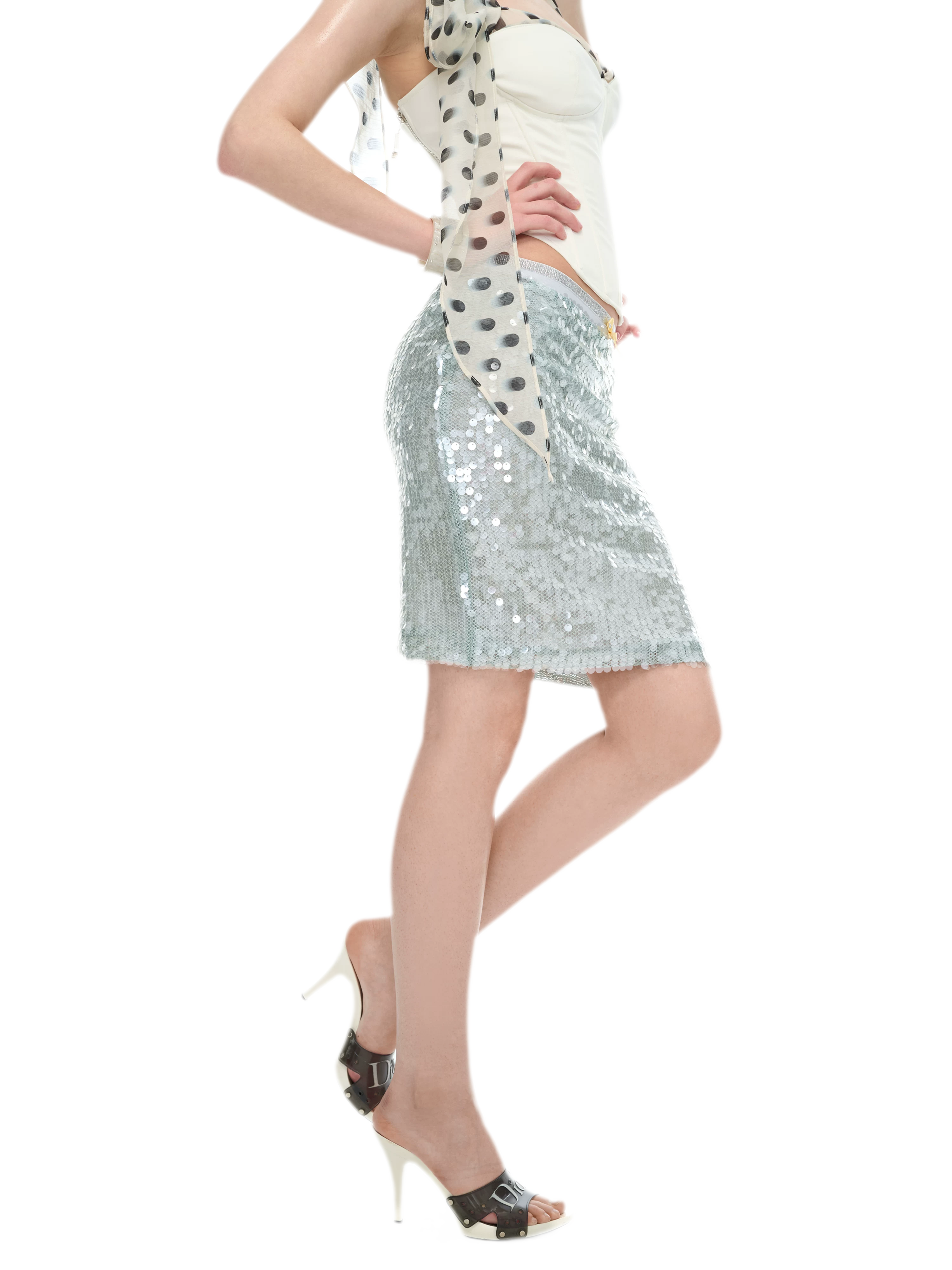 Sequin-Embellished Silver Waist Midi Skirt