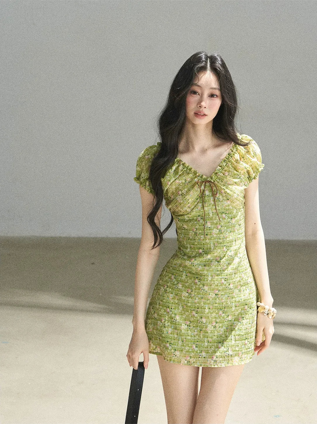 Chiffon Embroidered Mini Dress