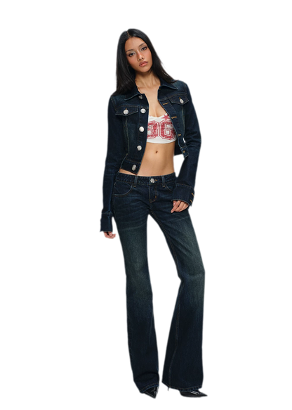 Embroidered Cropped Denim Jacket