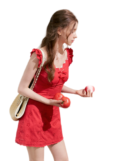 Embroidered Mini Dress