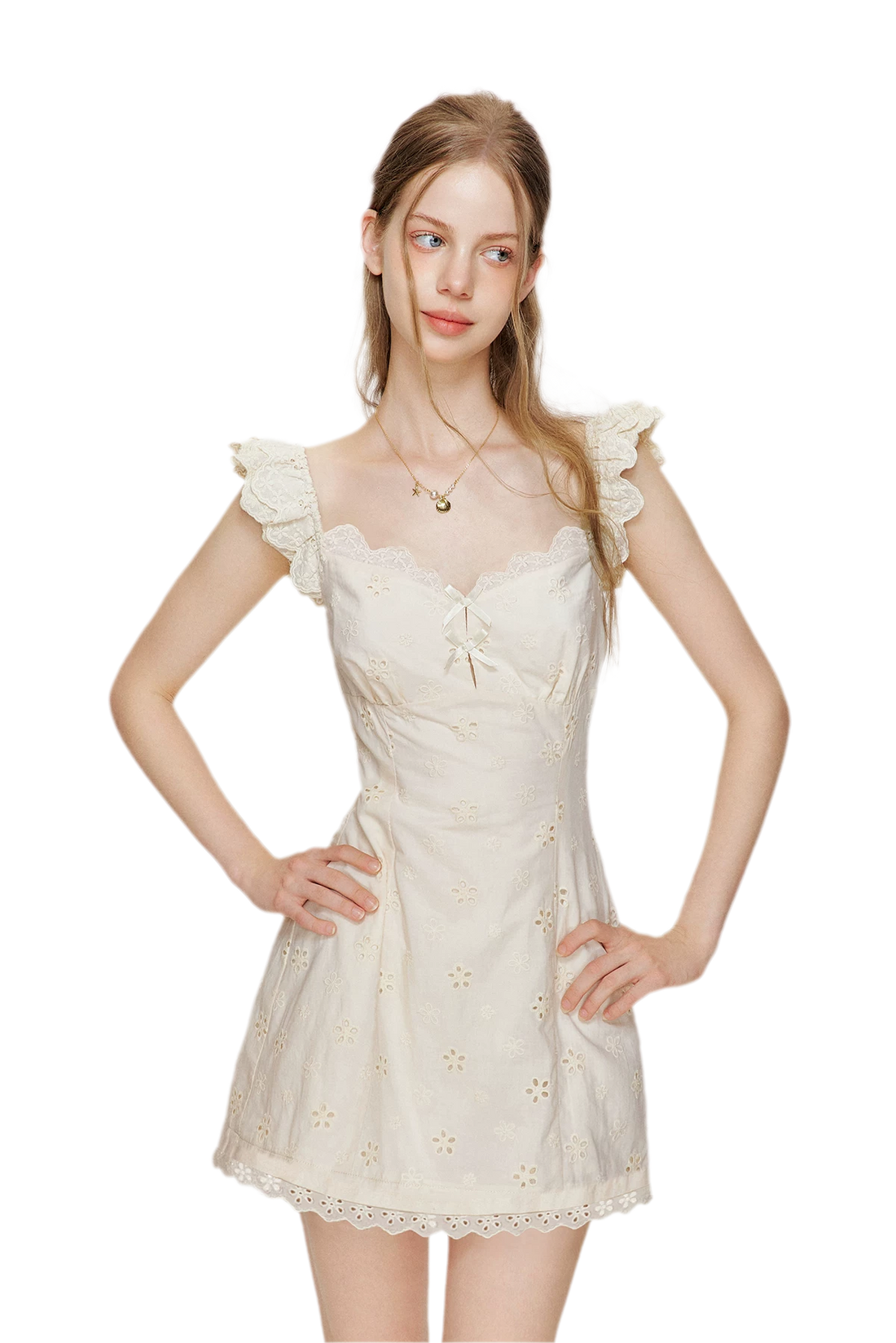 Embroidered Lace Flutter Sleeve Dress