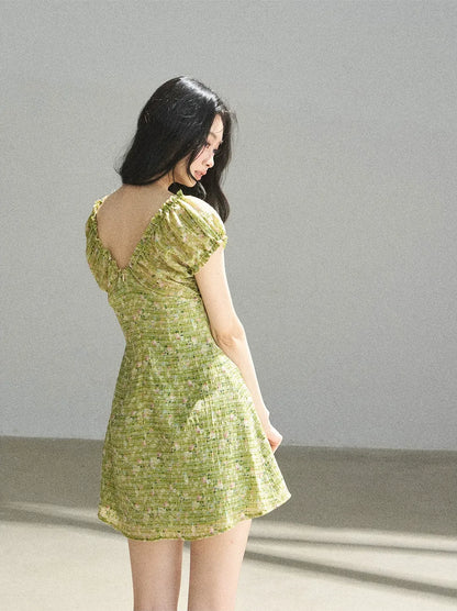 Chiffon Embroidered Mini Dress