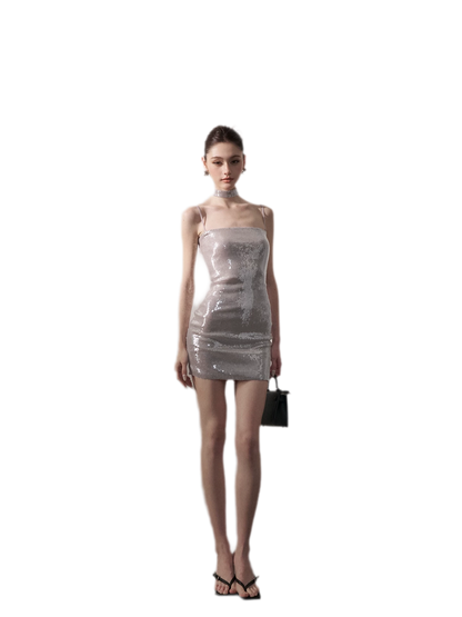 Sequin Bodycon Mini Dress
