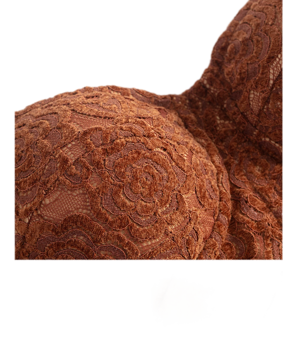 Amber Muse Lace Bustier