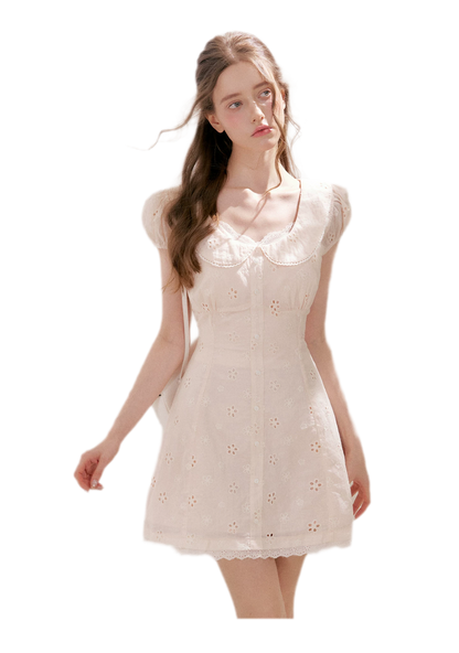 Embroidered Dress