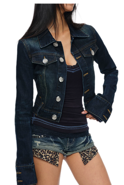 Embroidered Cropped Denim Jacket