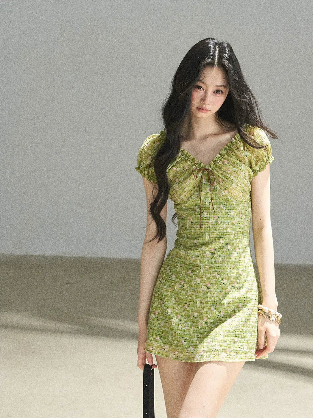 Chiffon Embroidered Mini Dress