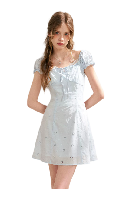 Embroidered A-Line Short Sleeve Dress