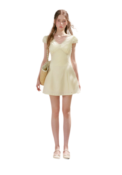 Lace V-Neck Short Sleeve A-Line Dress