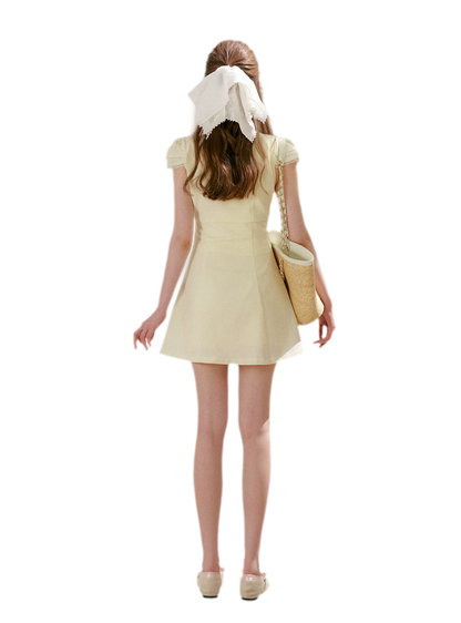 Lace V-Neck Short Sleeve A-Line Dress
