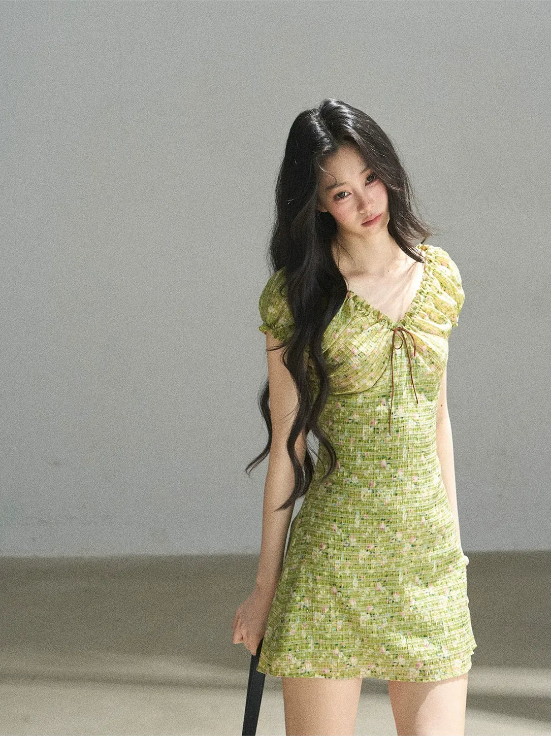 Chiffon Embroidered Mini Dress